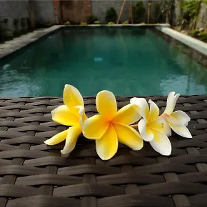 Pensión Eka Bali, Ubud